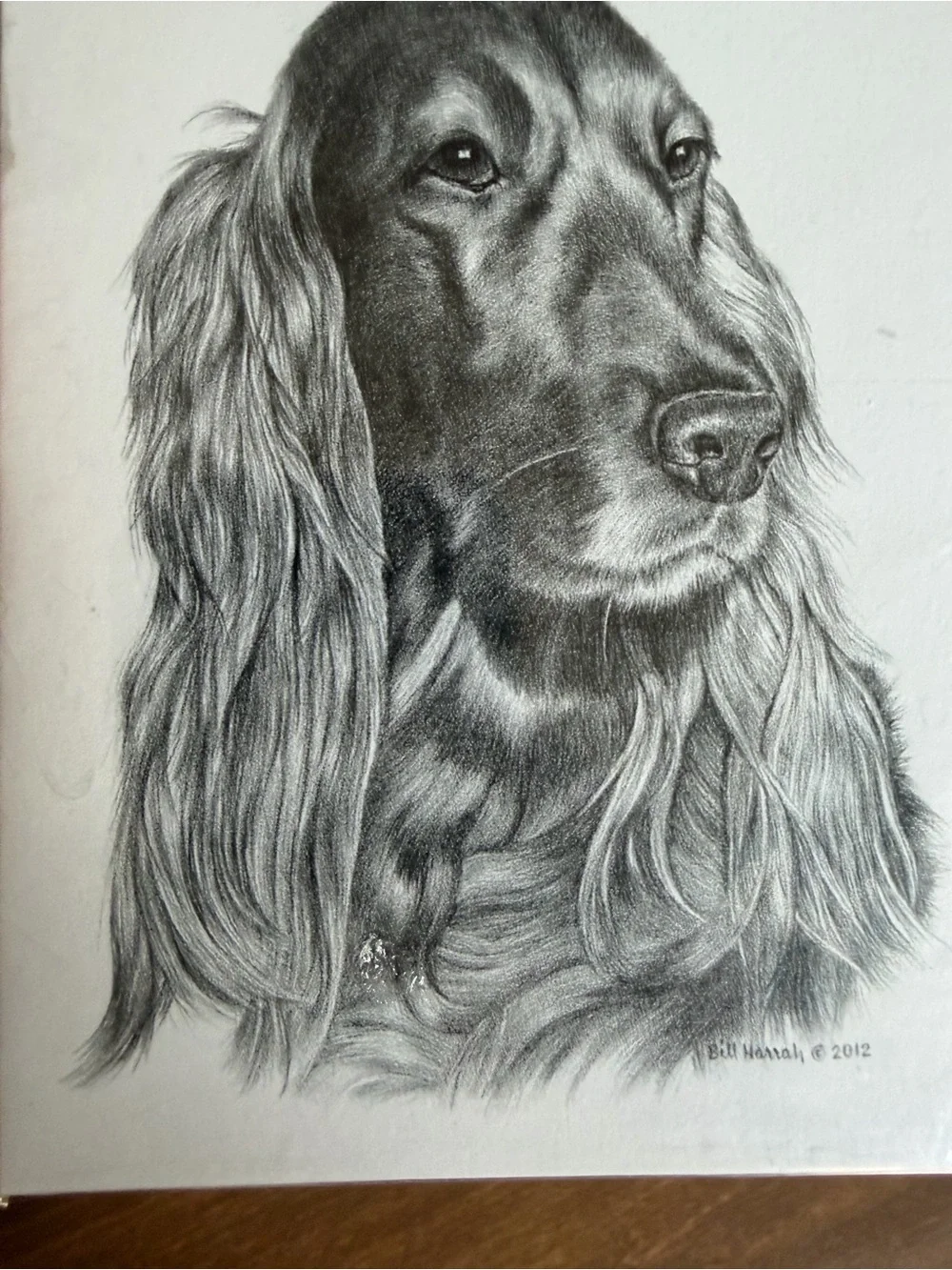 Irish Setter Dog Note Cards (8) Fine Art Drawing